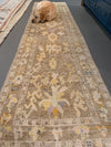 Full view of dog on brown and grey Turkish runner rug.